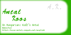 antal koos business card